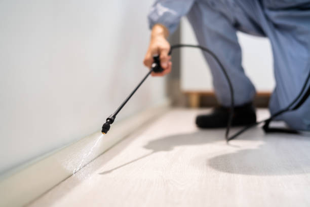 Licensed Cockroach Control service in Rowland, NC - Nex Pest Control