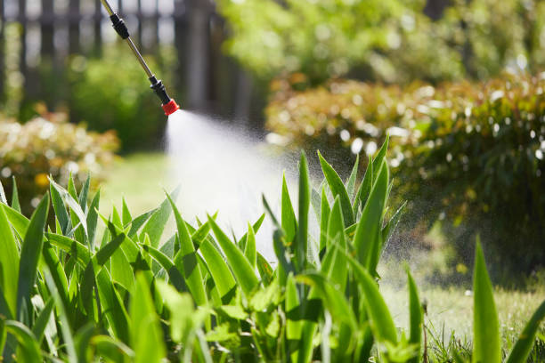 24/7 Emergency Cockroach Control experts in Rowland, NC
