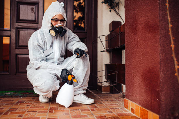Reliable Cockroach Control contractor in Rowland, NC by Nex Pest Control